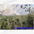 Incendie à Saint-Just : Plus de 100 hectares parcourus