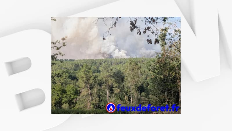 a8217763-f788-45f1-974d-fcd30296d55f Incendie à Saint-Just : Plus de 100 hectares parcourus