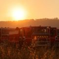 Alerte aux Canicules : Météo-France Prévoit des Températures Extrêmes