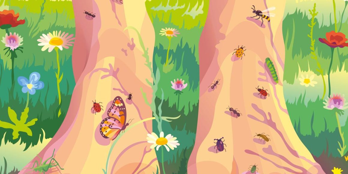b0c60302-f9b7-4e0f-9c8d-fb3b62bcc2ff Protéger la biodiversité : rediriger les subventions vers l’agriculture biologique