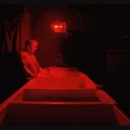 Le retour de la photographie argentique
