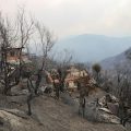 Macron réitère l&rsquo;aide de la France à l&rsquo;Algérie face aux incendies
