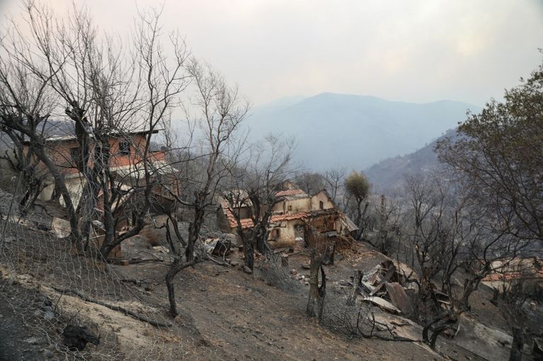 ALGERIA-FIRE-CLIMATE Macron réitère l’aide de la France à l’Algérie face aux incendies