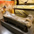 Les fossiles d’Angeac-Charente et l’avenir du musée d’Angoulême