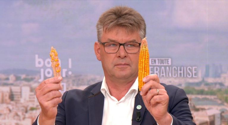 bc69bd38-4ebe-4274-8918-461dbccd23c4 L’été difficile des agriculteurs français face aux canicules répétées