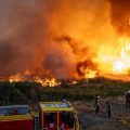 Origine accidentelle du feu de forêt à Saint-Just confirmée