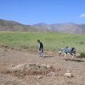 Exploitation minière en Afghanistan : impacts et enjeux