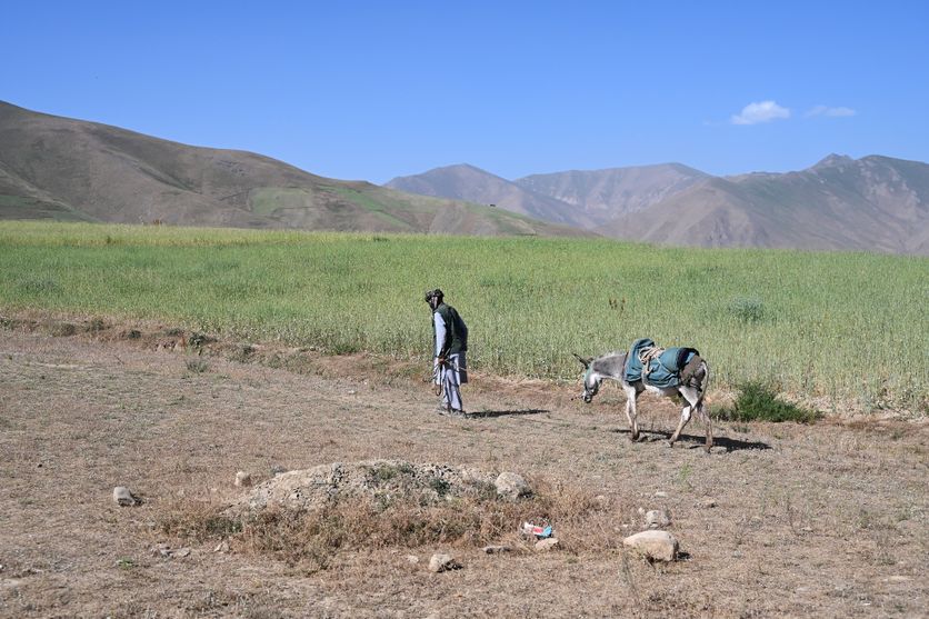 c0df50a9-a9e4-4e74-a39d-defe5d655b60 Exploitation minière en Afghanistan : impacts et enjeux