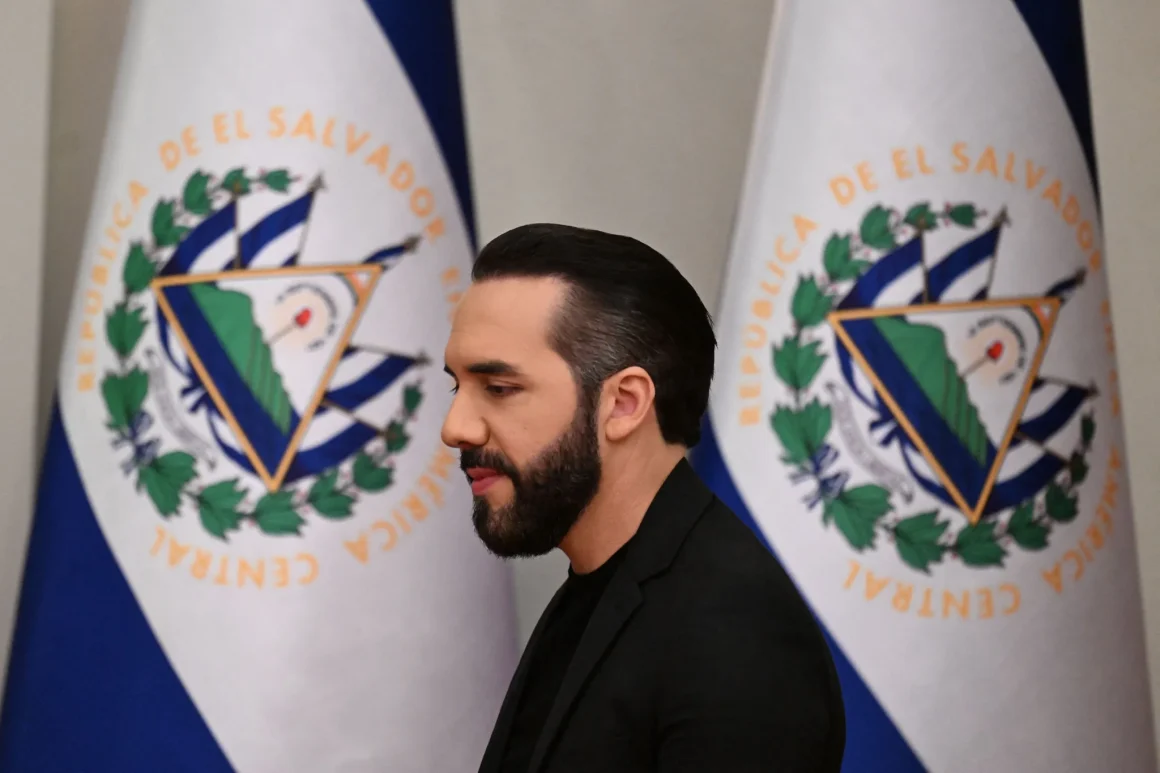 Le débat autour des panneaux publicitaires dédiés à Nayib Bukele à Oviedo