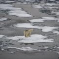 La recherche climatique américaine face aux obstacles