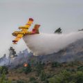 Feux de forêt et prévention des incendies en France