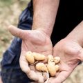 Soutien à la Trésorerie des Agriculteurs