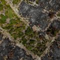 Les incendies et leurs impacts en France et en Grèce