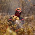 Les épreuves physiques des pompiers professionnels