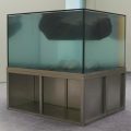 Entretien avec Pierre Huyghe à la Fondation Beyeler