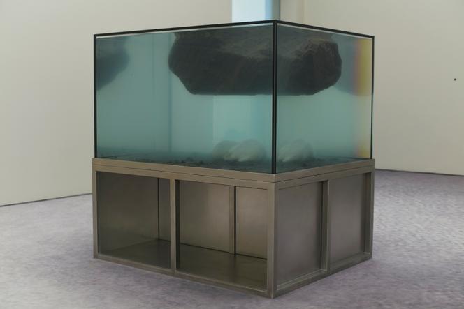 c7e27f41-1348-47fc-81c9-7707772333d8 Entretien avec Pierre Huyghe à la Fondation Beyeler