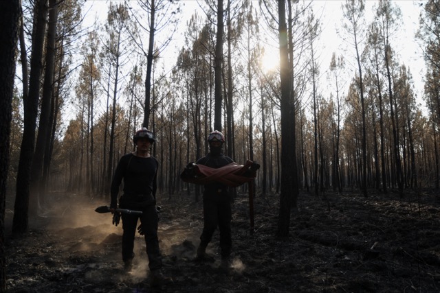 c9716957-4b6f-43cd-a5ea-4f9e793d790c Les incendies en Gironde et Var : évolution et impacts