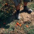 Conséquences des Canicules en France : Témoignage et Campagne de Sensibilisation