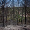 Incendie en Provence : le feu du Gros Bessillon maîtrisé