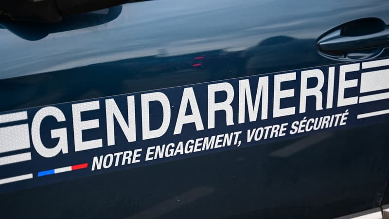 ce6b24d1-9f72-4ce0-ad7d-2d62d0b905cf Un Maire Maîtrise un Suspect de Vol de Carburant à Sumène