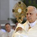Le Pape Léon XIV Appelle à la Paix dans les Zones de Conflit