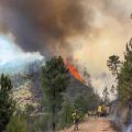 Lutte contre les incendies en Espagne : confinement et mesures d&rsquo;urgence