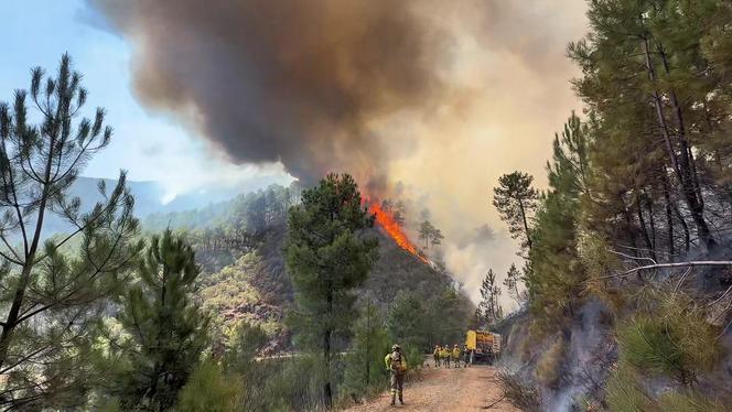 d08cd956-e63d-44e8-9c7a-b34e0cae3fd0 Lutte contre les incendies en Espagne : confinement et mesures d’urgence
