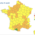 Incendies et canicule en France : une situation critique