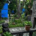 La Casa Azul : Jardin de l&rsquo;Artiste Frida Kahlo