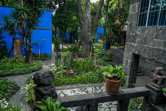 d0ea958e-4cba-4c45-8b85-8dece6eb0f59 La Casa Azul : Jardin de l’Artiste Frida Kahlo