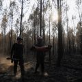 Incendies en Gironde et dans le Var : Situation actuelle