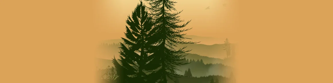 Dans l’intimité des forêts: Podcasts incontournables