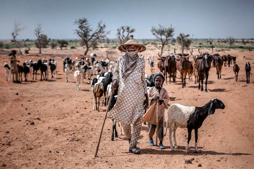 NIGER-AGRICULTURE-DROUGHT La COP17 : Focus sur le Pastoralisme et la Lutte contre la Désertification