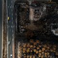 Après le mégafeu, le gouvernement se déplace pour lancer la reconstruction