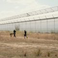 Juillet 2026: Un Mois Caniculaire et Sec
