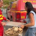 L&rsquo;incendie menace le monastère historique San Juan de la Peña
