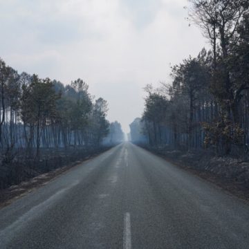 e42962a9-2625-472c-9bfc-b271d7495701 Climat En Gironde: Après le feu, le temps des questions