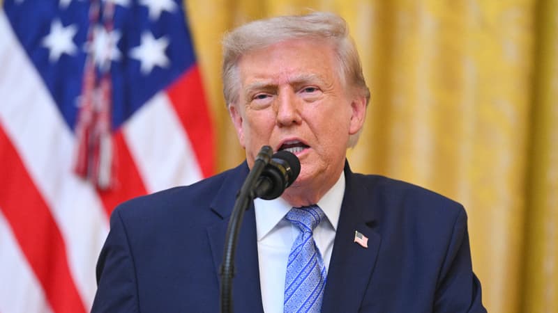 e5725ade-83f3-45cb-9920-0ed981c1be5c Donald Trump signe un décret contre le ‘tourisme des naissances’