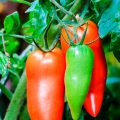 Comment Préserver Vos Fruits et Légumes