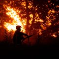 Controverse autour de la gestion des incendies à Le Porge