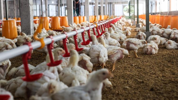 ebf00f8b-dcfc-4a86-88b3-7b1a09e3921b Plan de soutien agricole face aux crises climatiques de 2026