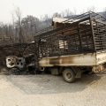 Incendies Dévastateurs dans le Nord de l&rsquo;Algérie