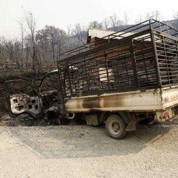 Incendies Dévastateurs dans le Nord de l&rsquo;Algérie