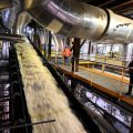 L&rsquo;adaptation des entreprises face au changement climatique