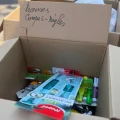 Solidarité pour les écoliers sinistrés des incendies en Gironde