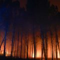 Incendies de forêt dans les Landes : Une situation toujours critique