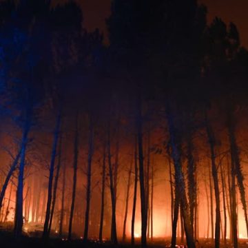 f9cca582-1ddf-4fec-b06a-2741d4a82810 Incendies de forêt dans les Landes : Une situation toujours critique