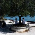 Vigilance Canicule et Risque d&rsquo;Incendies en France