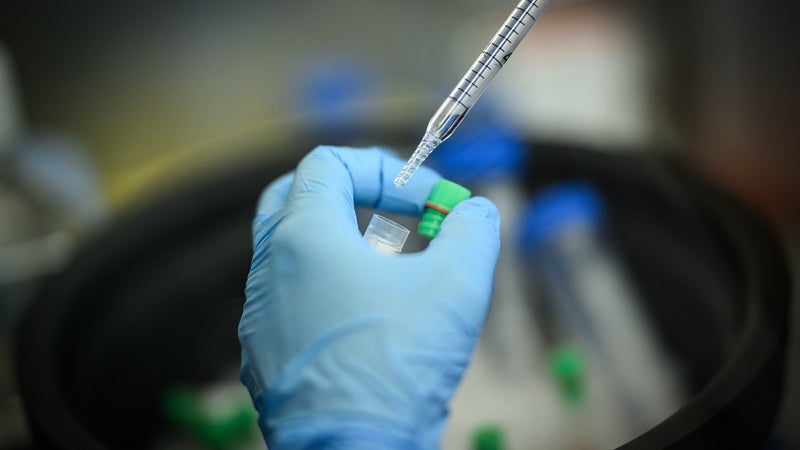 00a77e42-9bb5-4f85-a514-601d1046a94b Un vaccin contre le cancer : promesses et défis
