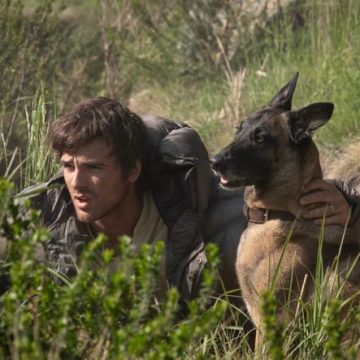 085a1d85-01ca-47c4-8338-32f07b8fe7e6 La place des chiens dans le cinéma américain contemporain
